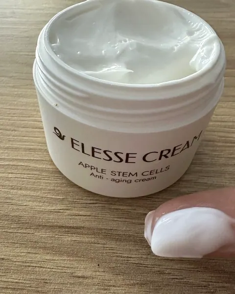 Elesse
