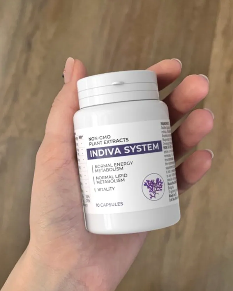 Indiva System — Foto 2